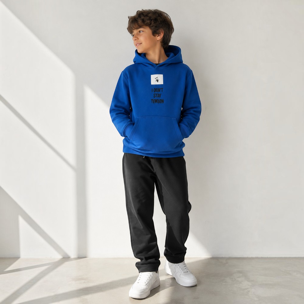 Victor and Jane - Boys' I Don't Stay Normal Sweatshirt Hoodie - Blue