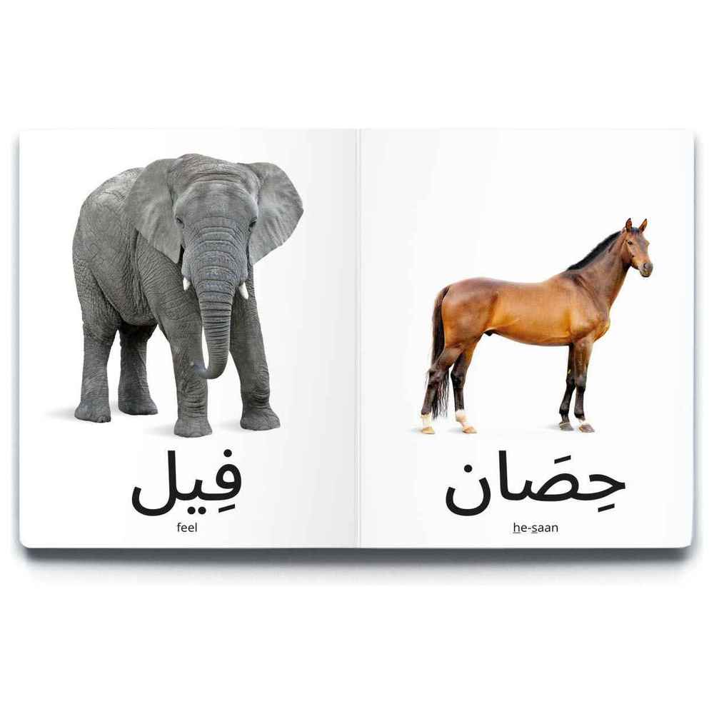 Dardasha Animals Book