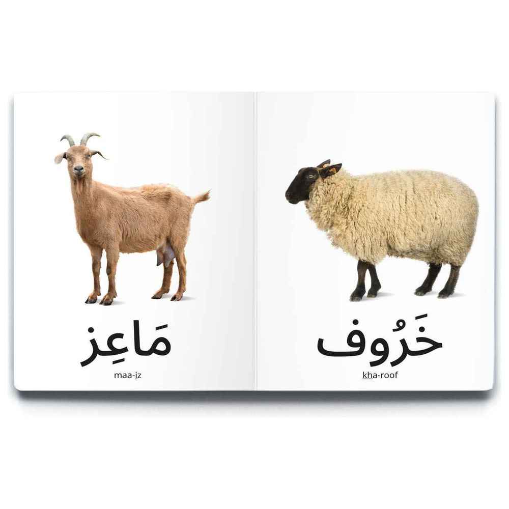دردشة - كتاب حيوانات المزرعة