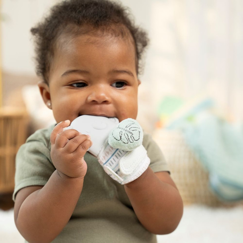 Ingenuity - Van The Elephant Teething Mitt And Rattle Toy
