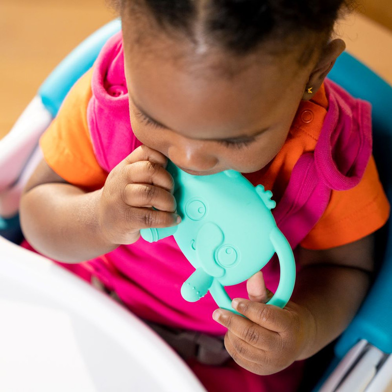 Bright Starts - Tame Your Tusks Silicone Teether 3M- Elephant - Green