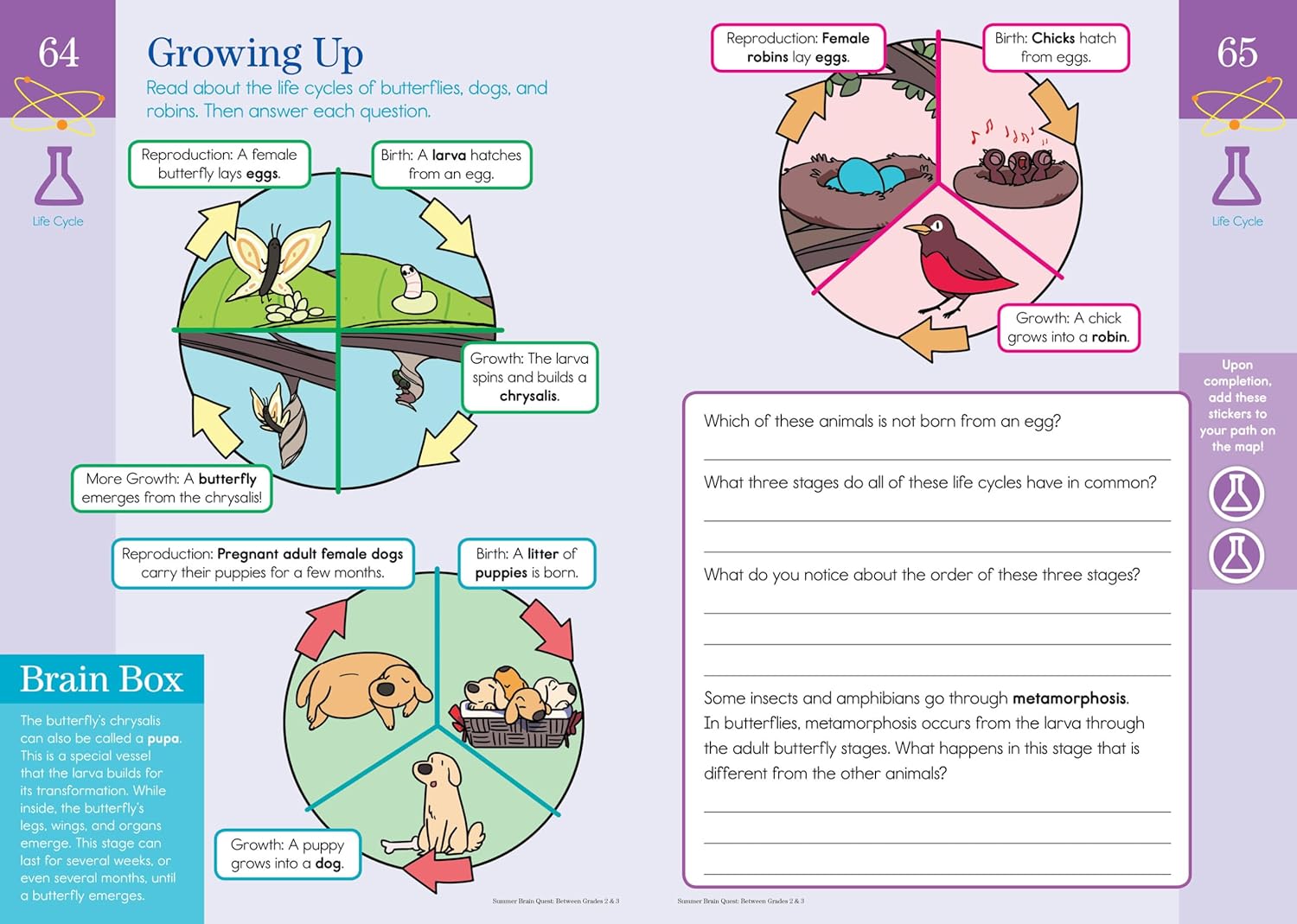 Summer Brain Quest Workbook: Between Grades 2 & 3
