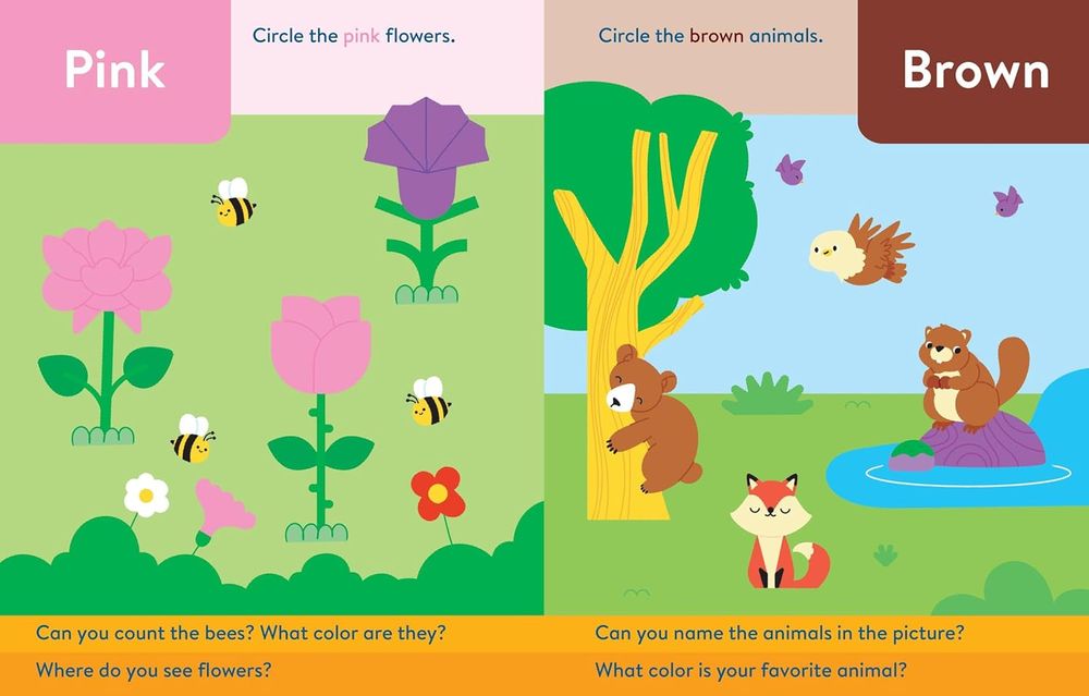 Write And Erase: Preschool Skills
