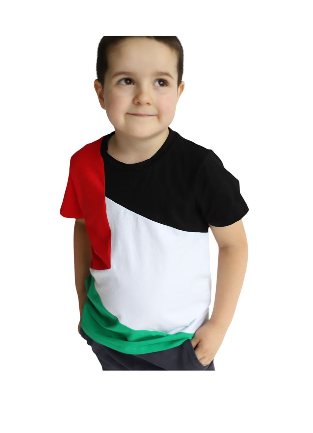 Daniel Palestine Flag T-Shirt