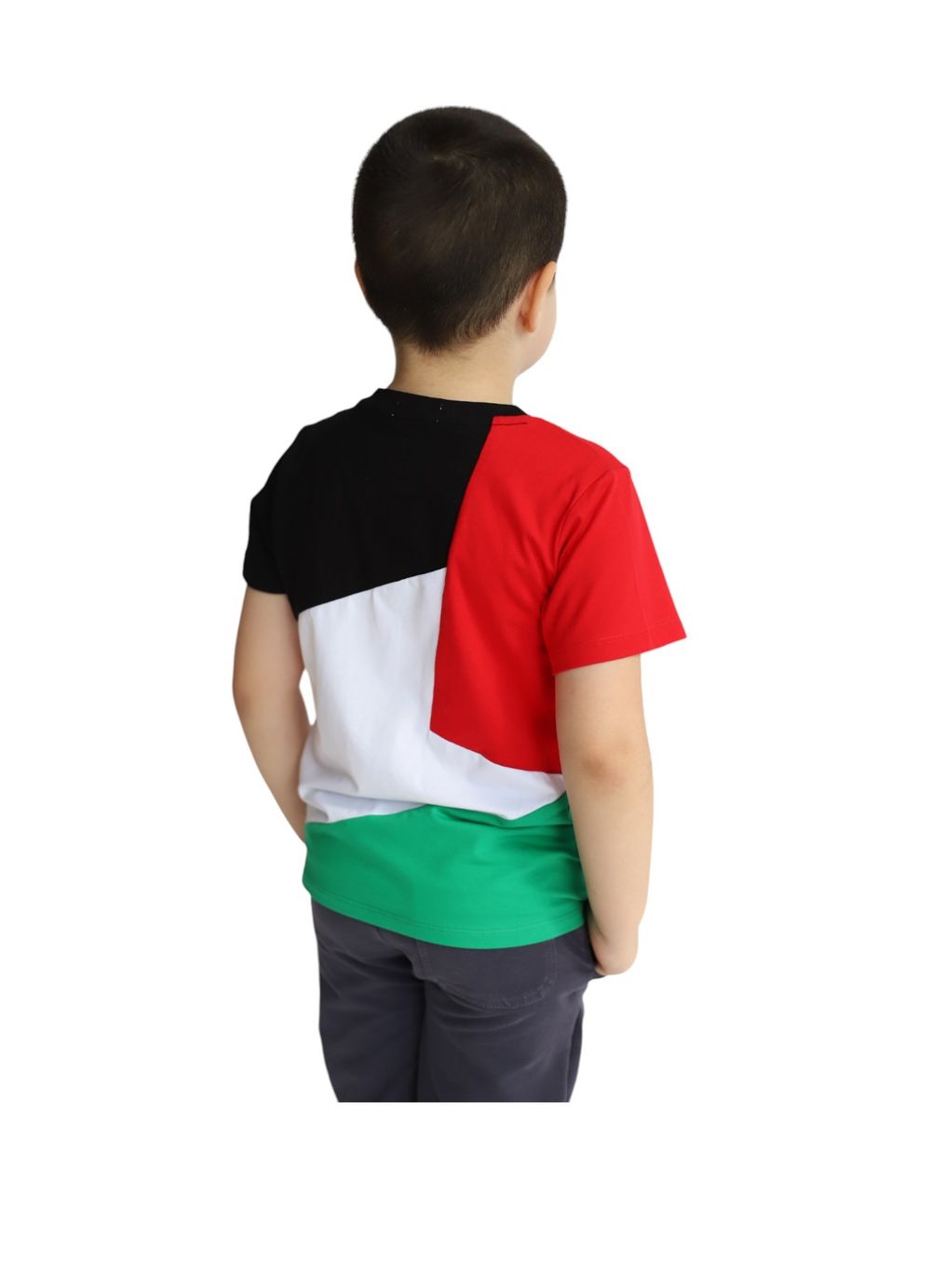 Daniel Palestine Flag T-Shirt