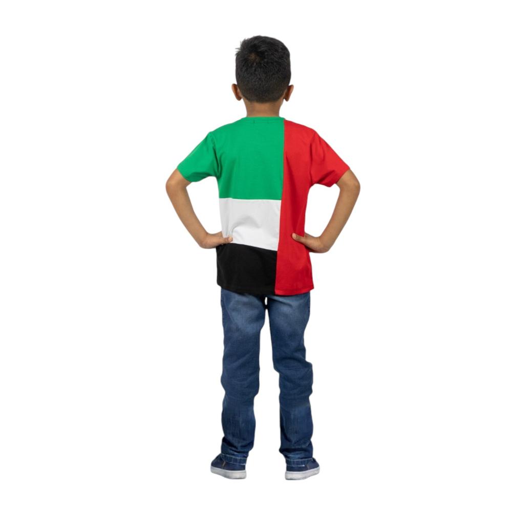 Daniel Uae Flag National Day T-Shirt