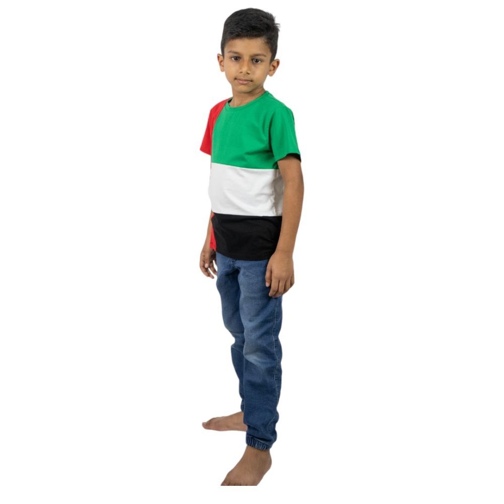 Daniel Uae Flag National Day T-Shirt