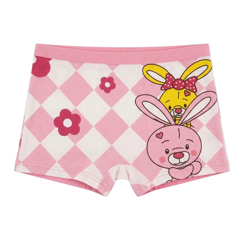 Bidani - 4pc-Set - Girl's Soft Comfort Printed Panties - Multicolor