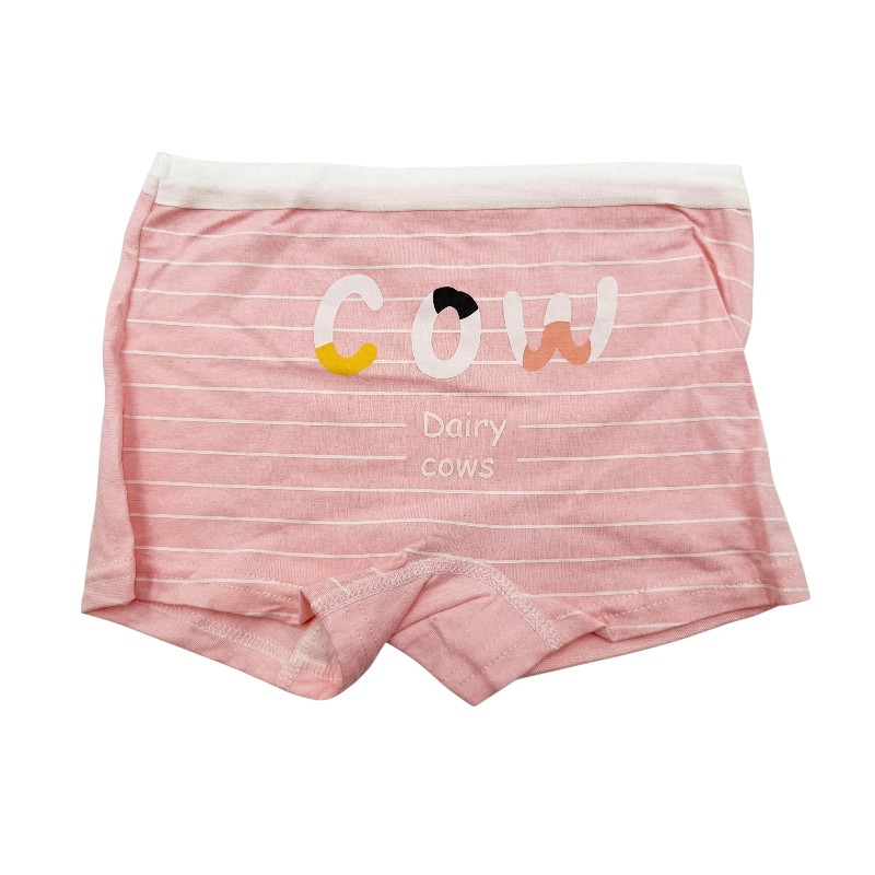Bidani - 4pc-Set - Girl's Soft Comfort Printed Panties - Pink/White