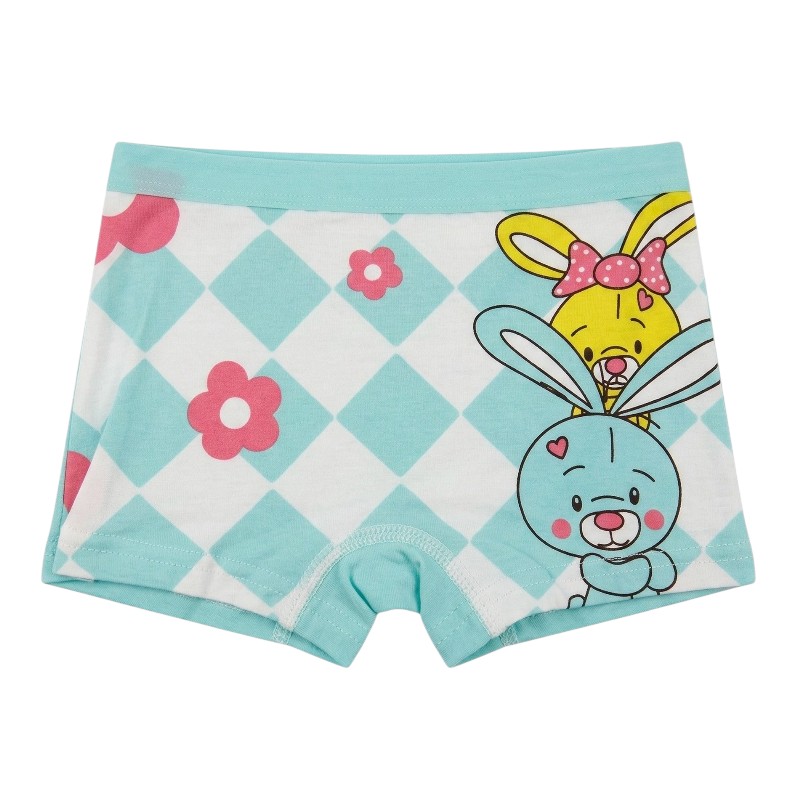 Bidani - 4pc-Set - Girl's Soft Comfort Printed Panties - Blue/White