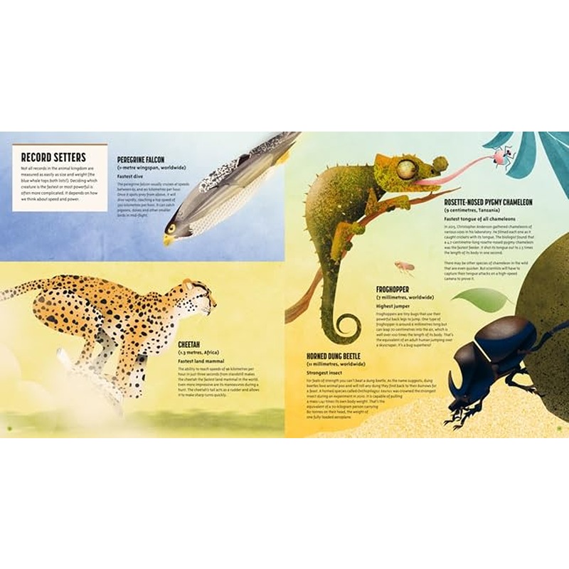Amazing Animals - 100+ Creatures That Will Boggle Your Mind