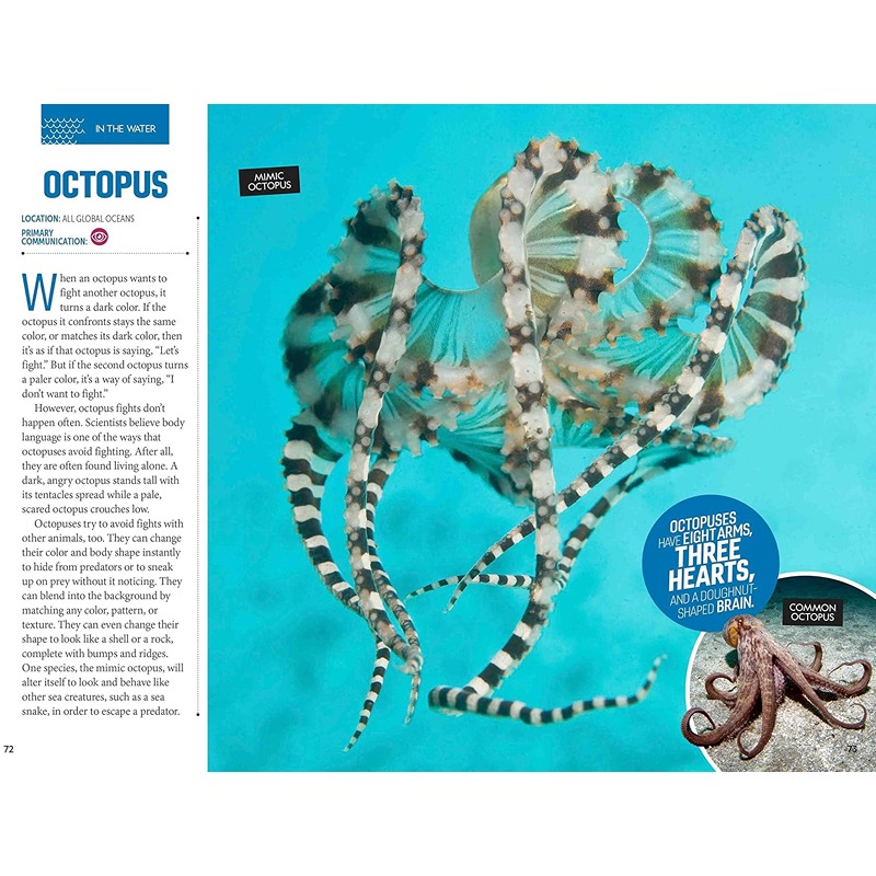 How to Speak Animal