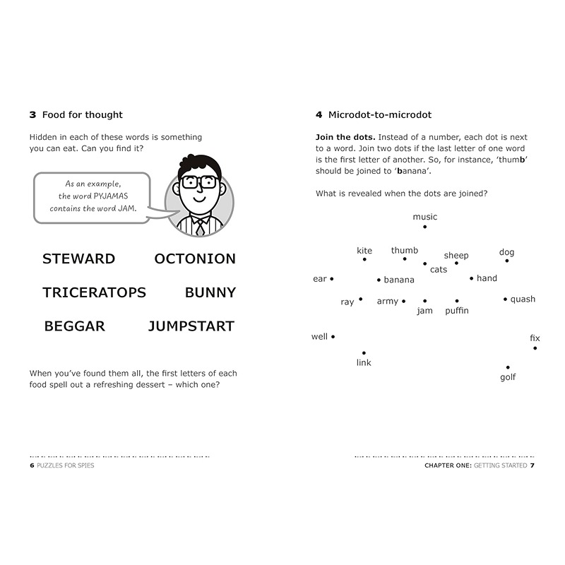 Puzzles For Spies Book