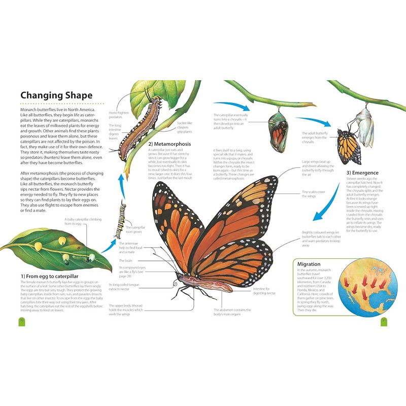 How It Works - Animals