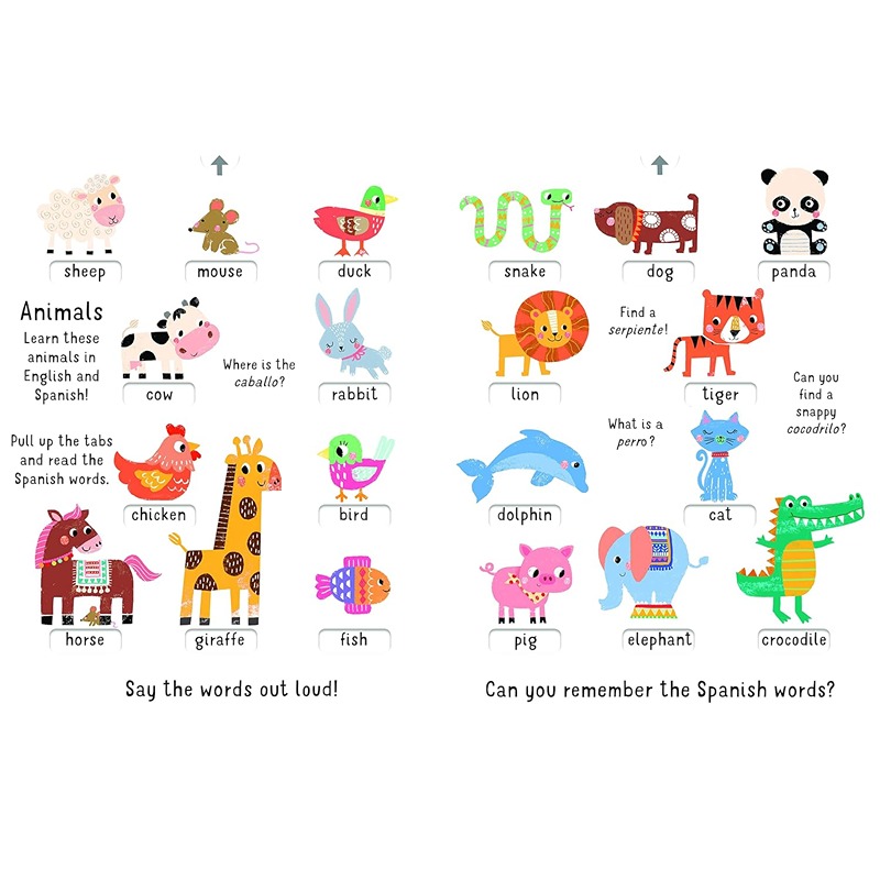 English - Spanish 100 Words