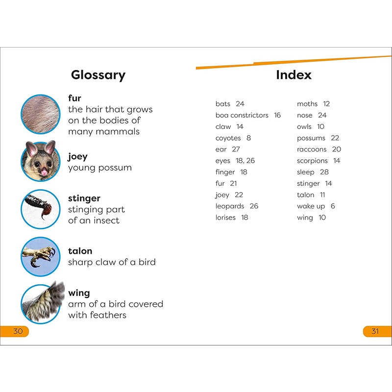 Super Readers: Nighttime Animals Level 1