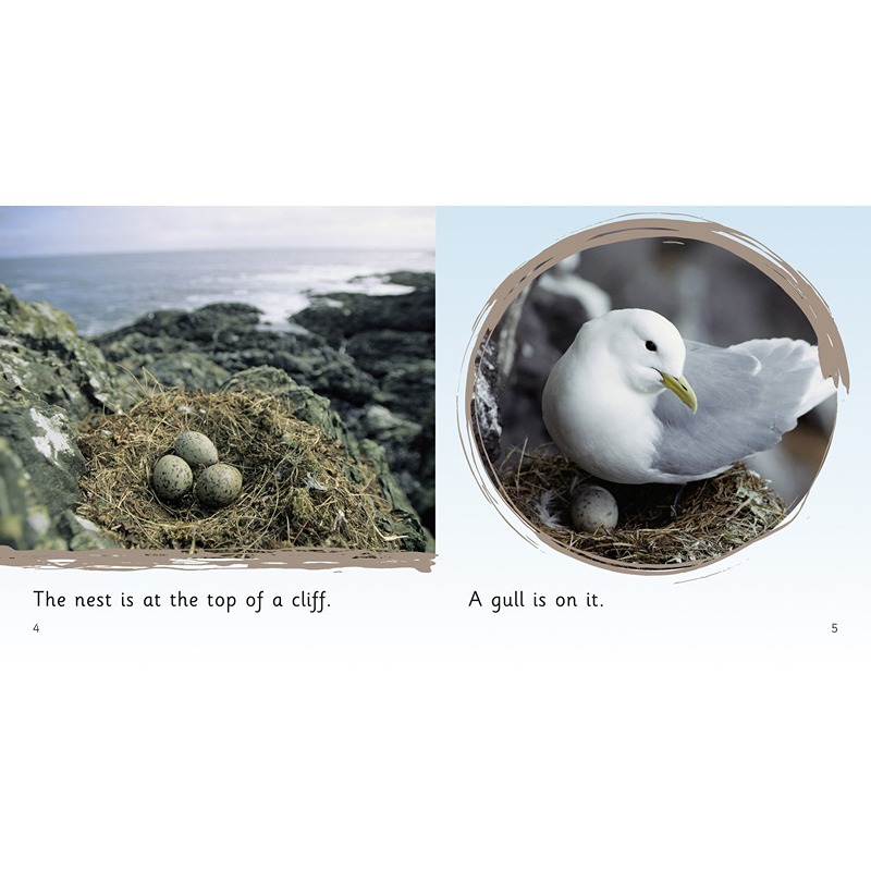 Collins Big Cat Phonics: Nests