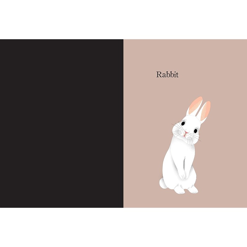 Animal Portraits