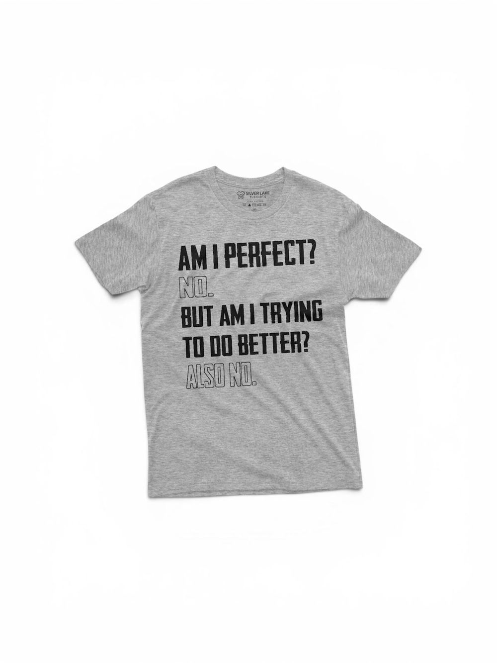 Matching Family Outfits - Am I Perfect Women's T-Shirt - Grey