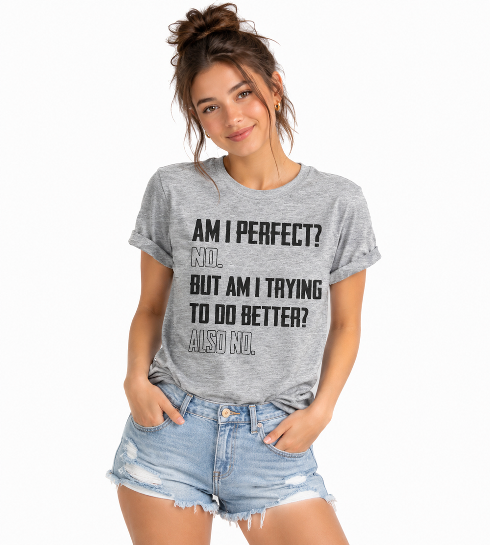 Matching Family Outfits - Am I Perfect Women's T-Shirt - Grey