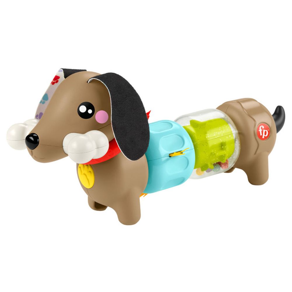 Fisher-Price Click & Spin Activity Pup Toy