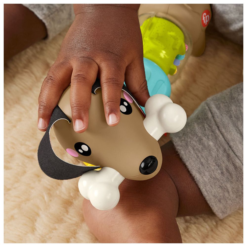 Fisher-Price Click & Spin Activity Pup Toy