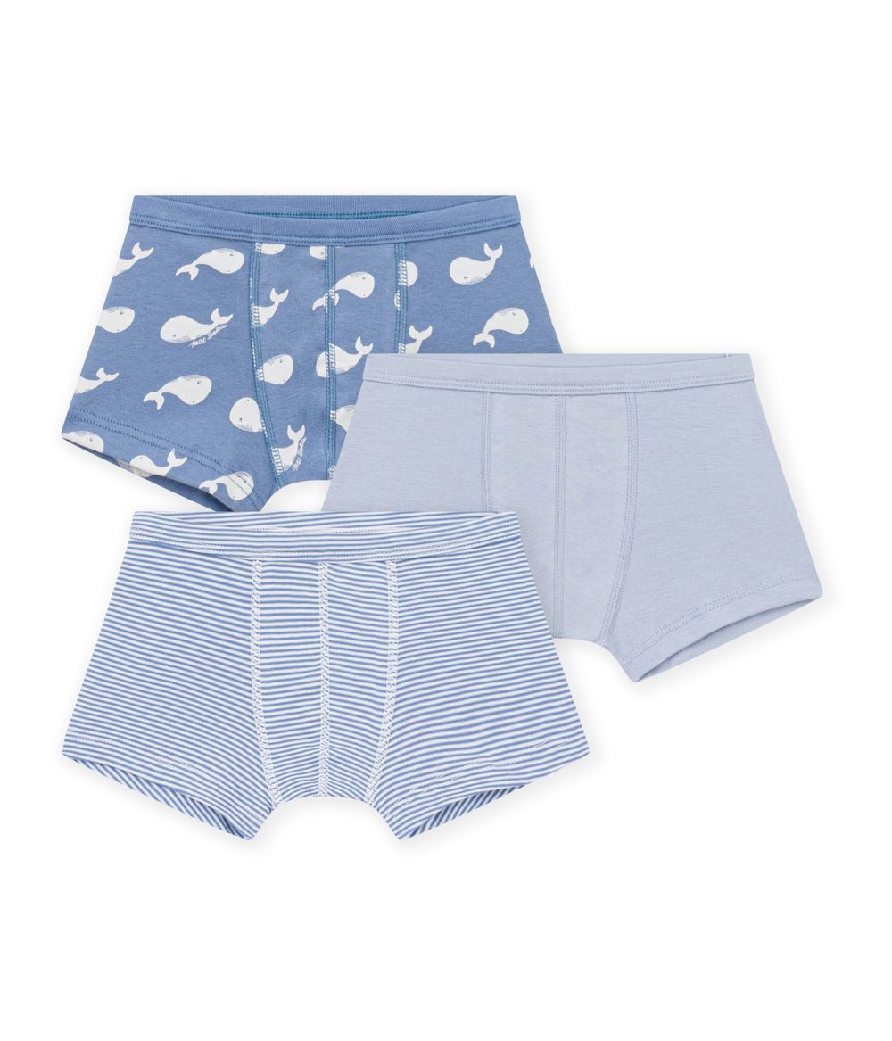 بيتي باتو - طقم من 3 قطع - سراويل داخلية قطنية مطبوعة برسومات حيتان مع حزام خصر - متعددة الألوان