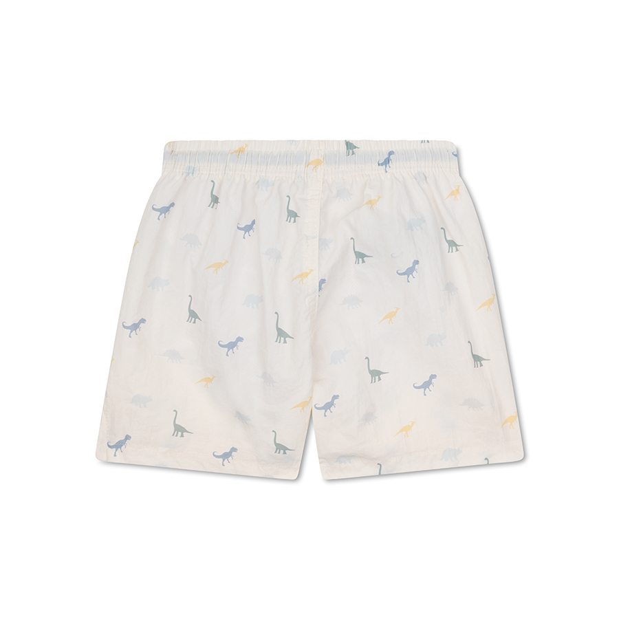 Swim Essentials Boy's Printed Dino Swim Shorts