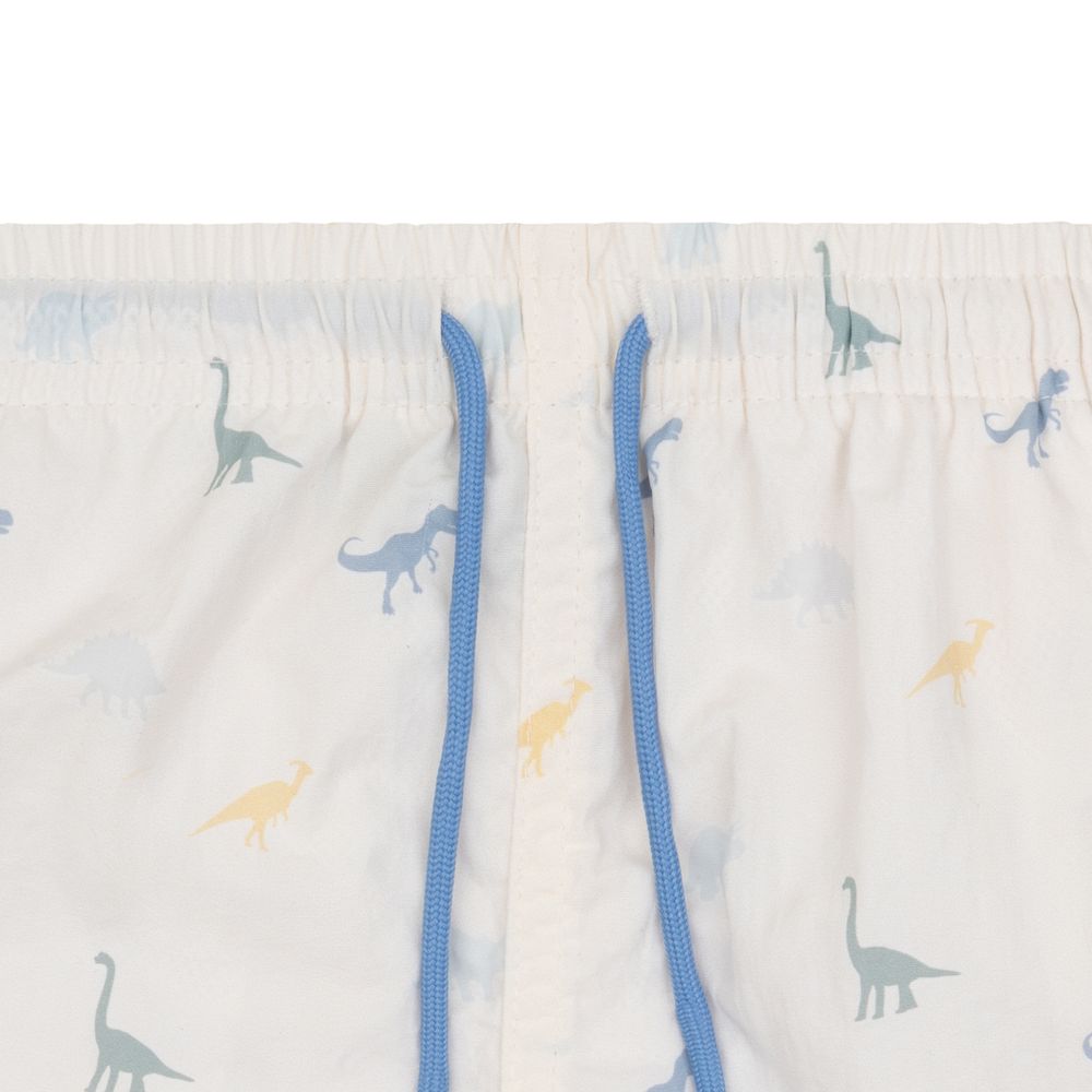 Swim Essentials Boy's Printed Dino Swim Shorts