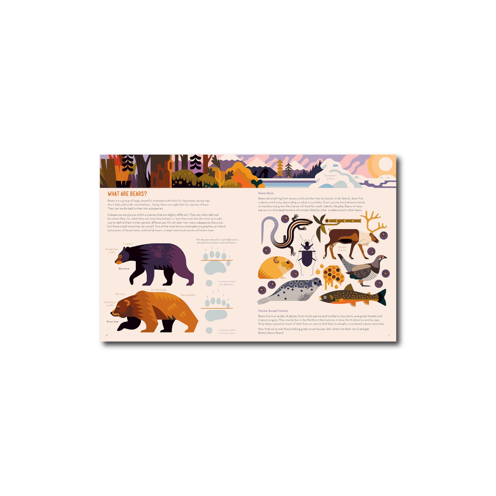 Brainy About Bears Book