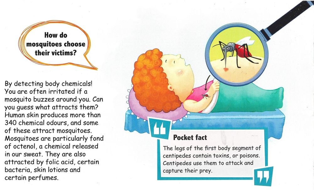 How Do Crocodiles Clean Their Teeth?