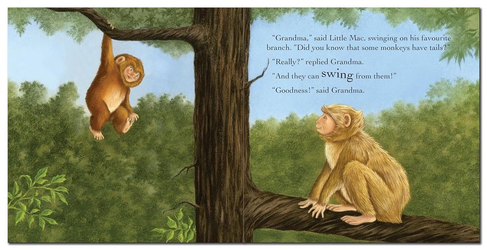 Grandma's Little Monkey Story Book