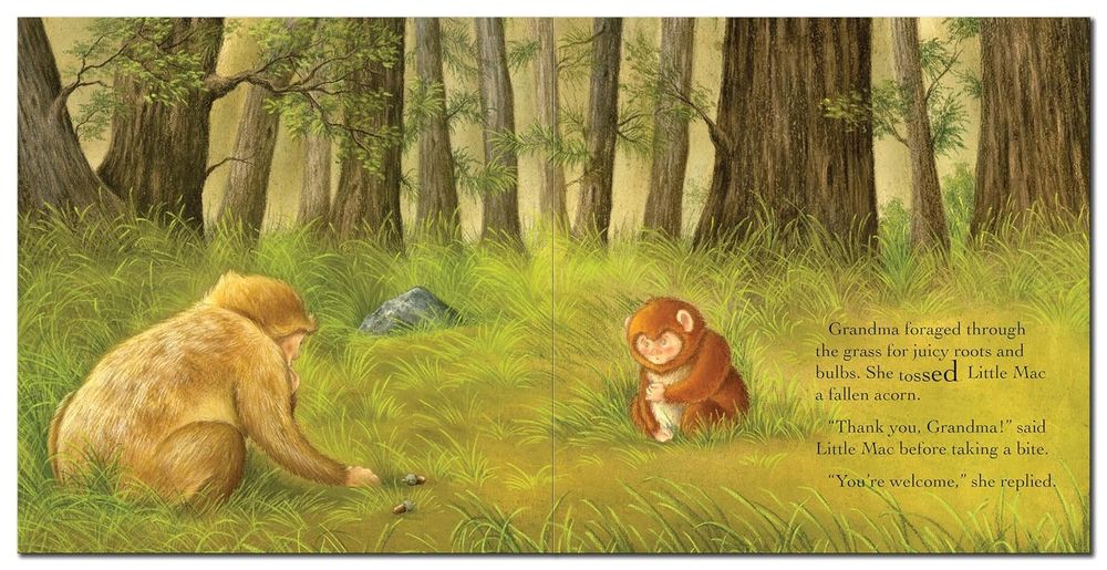 Grandma's Little Monkey Story Book