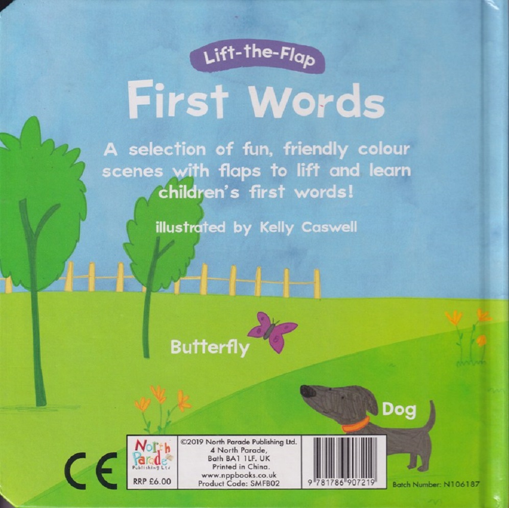 First Words Lift-The-Flap Book