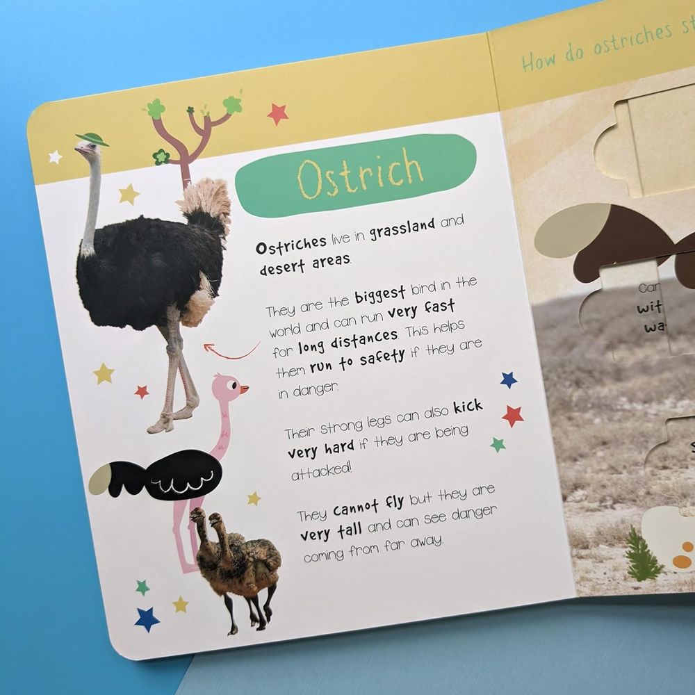 North Parade Publishing - Little Wonders Slide And Find Puzzle Slider Books - Desert Animals