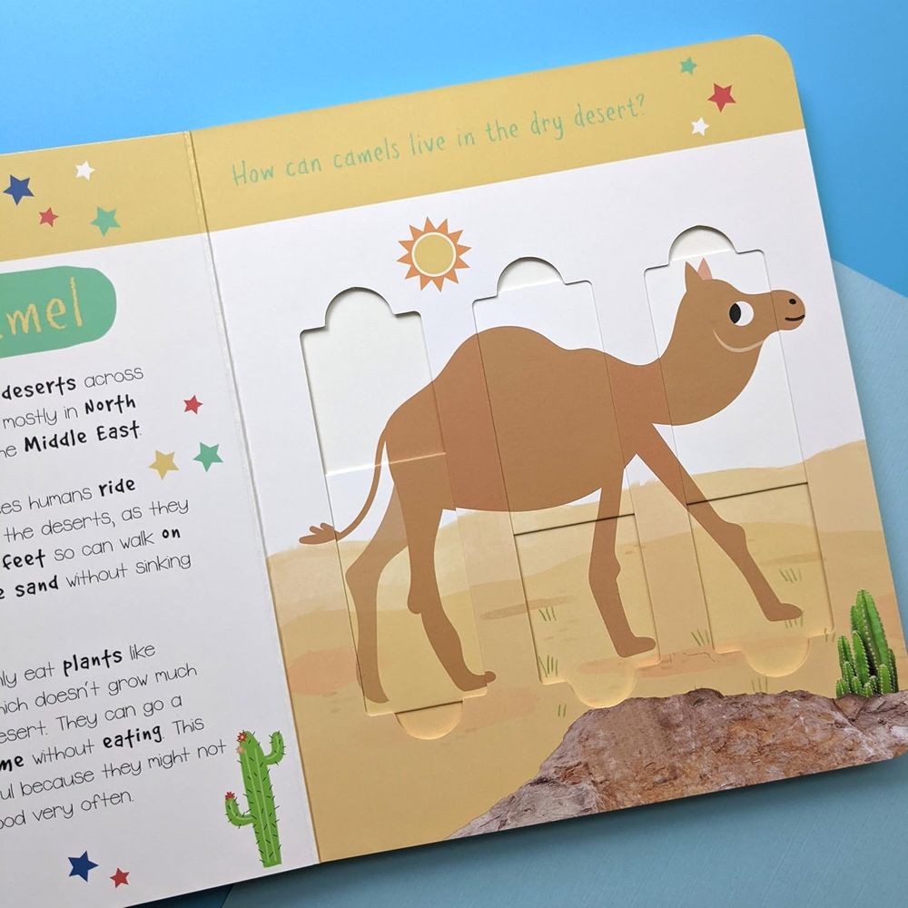 North Parade Publishing - Little Wonders Slide And Find Puzzle Slider Books - Desert Animals