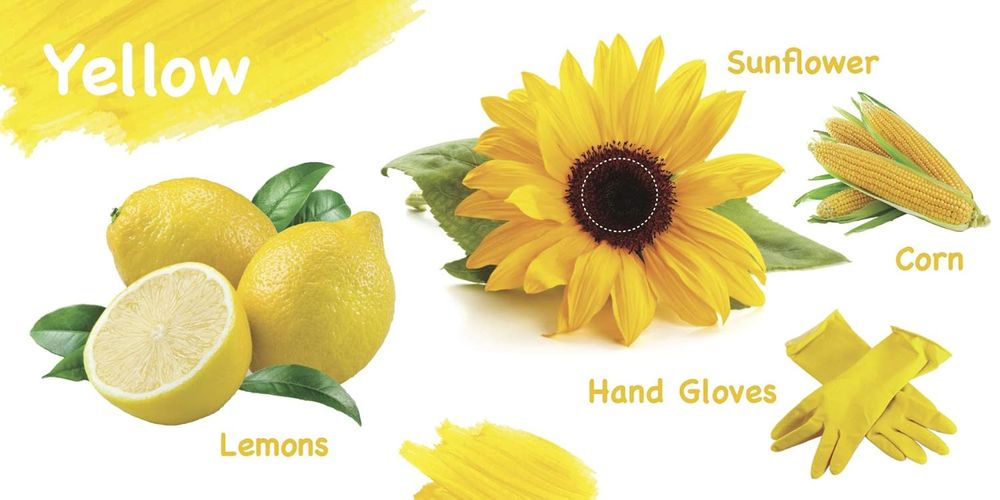 Om Books International - Touch And Feel Colours