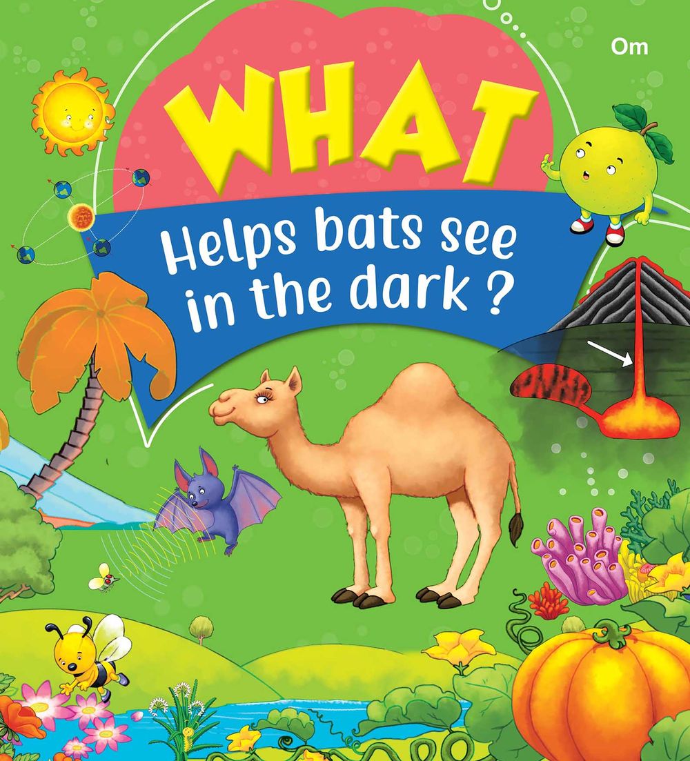 What Helps Bats See In The Dark?