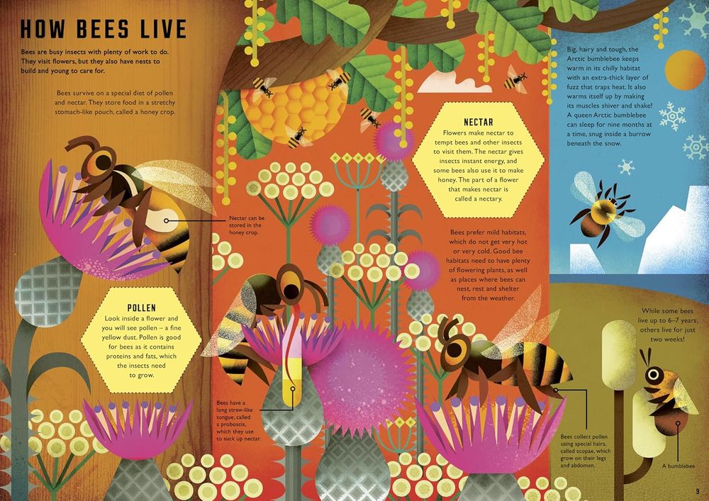 When Do Bees Dance?