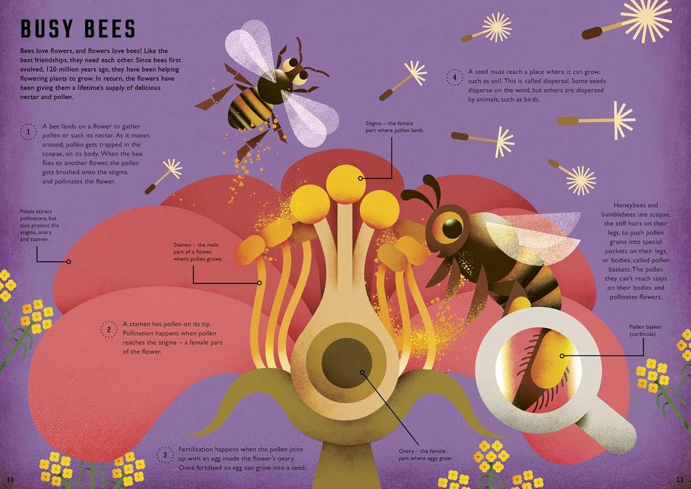 When Do Bees Dance?