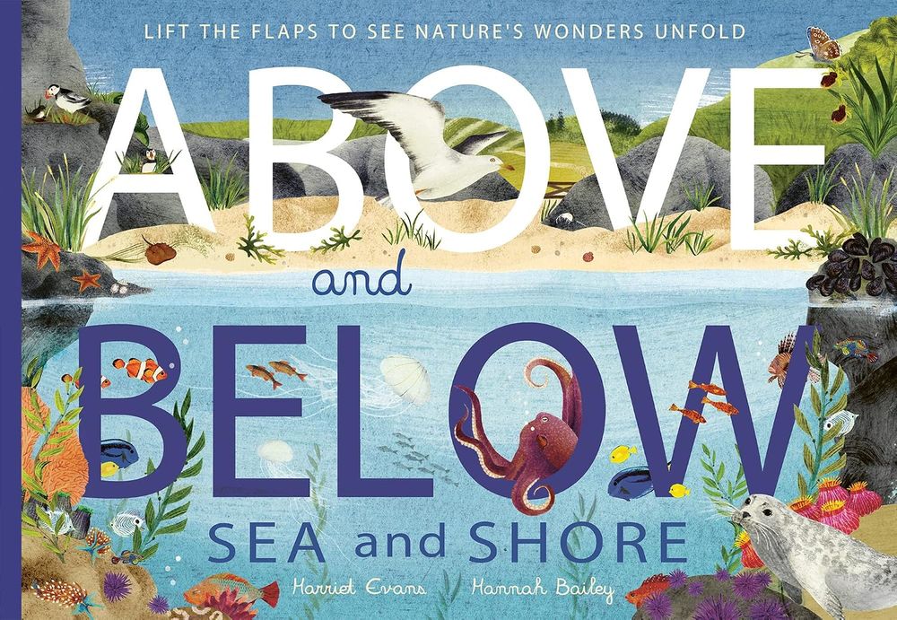 Above And Below: Sea And Shore: Lift The Flaps To See Nature's Wonders Unfold
