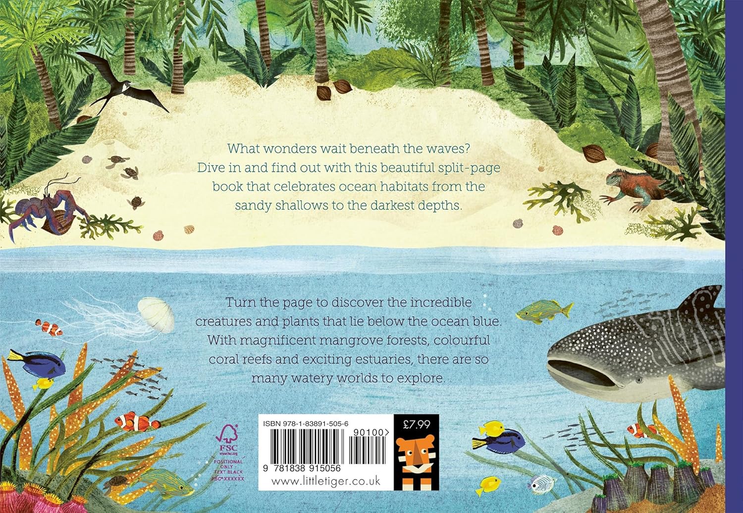 Above And Below: Sea And Shore: Lift The Flaps To See Nature's Wonders Unfold