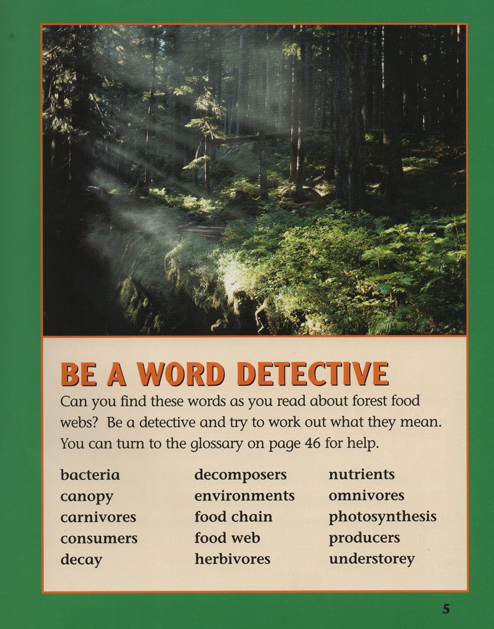 Forest Food Webs