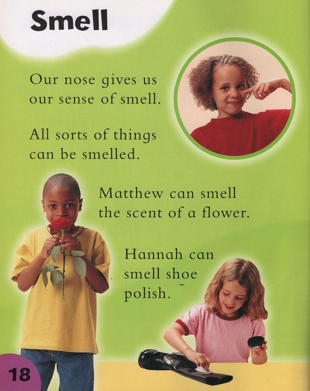 Ways Into Science: Your Body, Your Senses