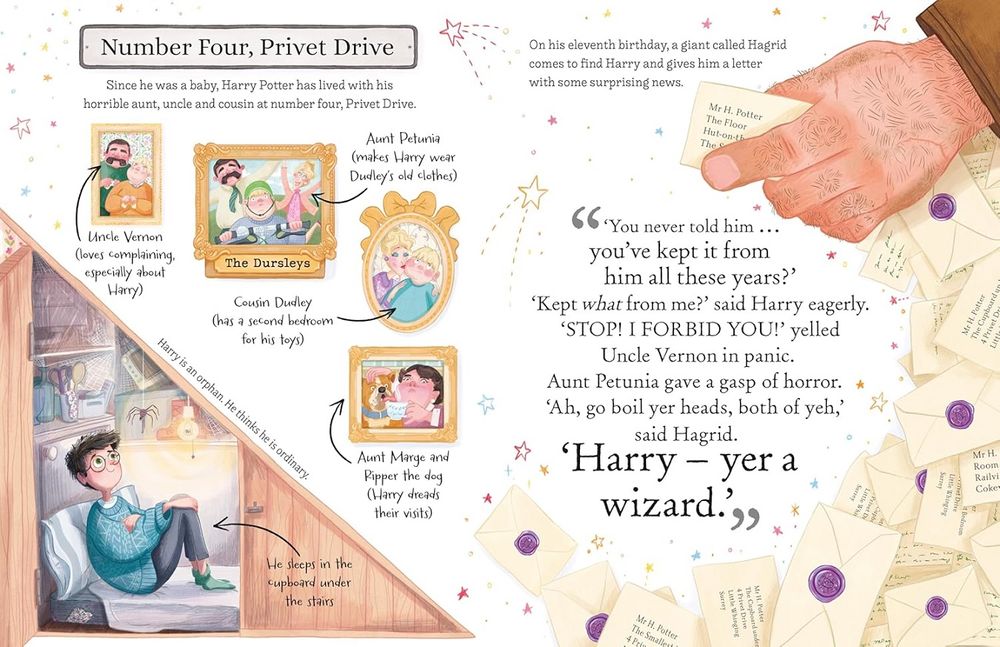 Pocket Potters Series Harry Potter