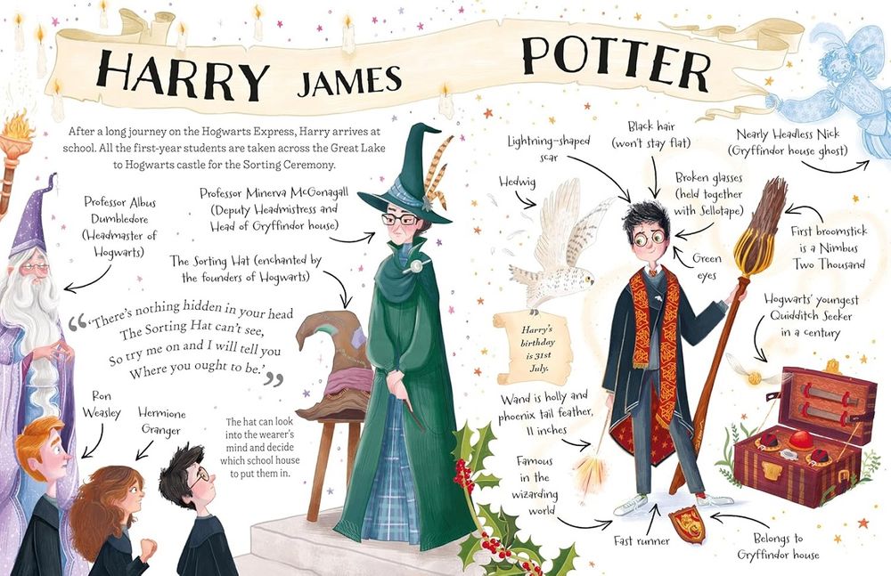 Pocket Potters Series Harry Potter