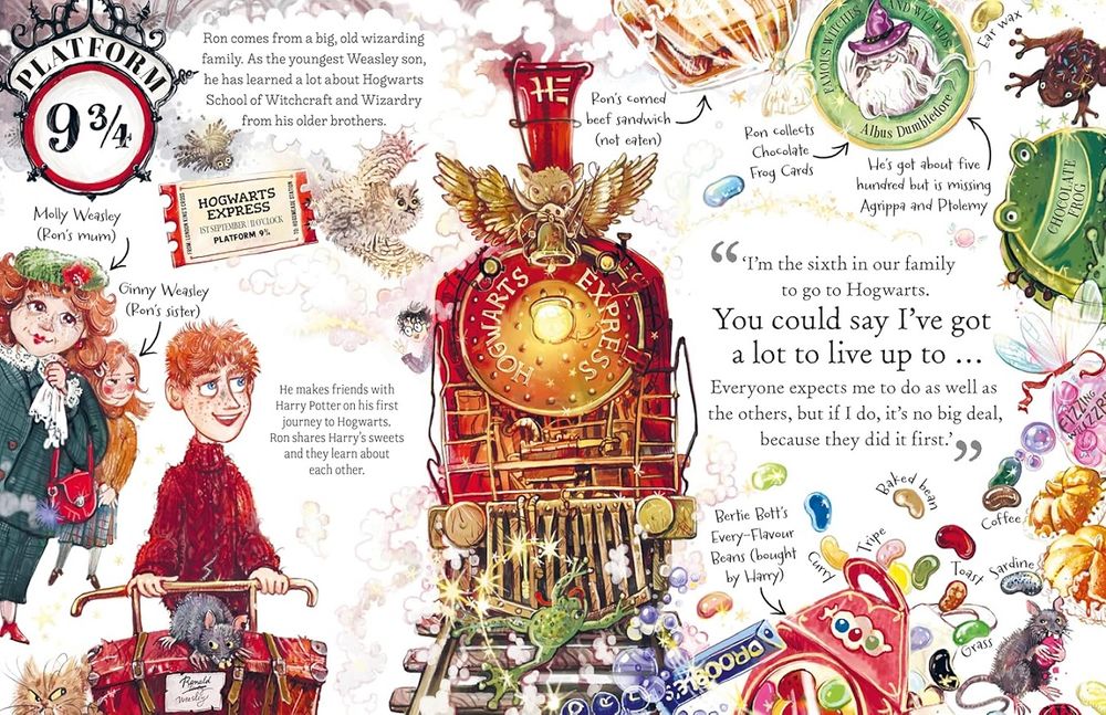 Pocket Potters Series Ron Weasley