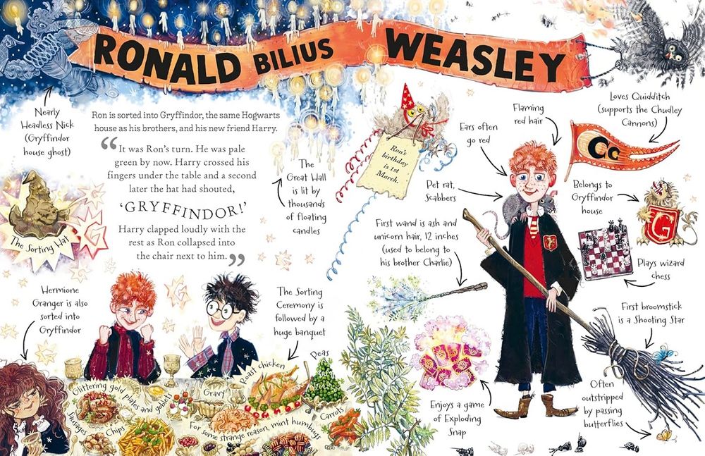 Pocket Potters Series Ron Weasley