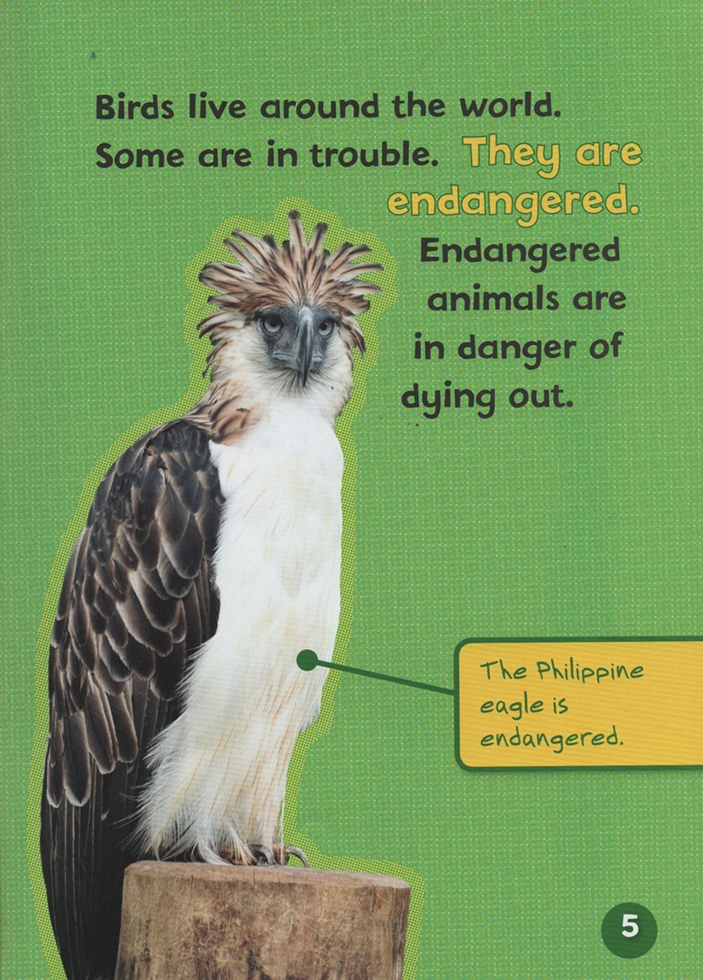 Endangered And Extinct Birds