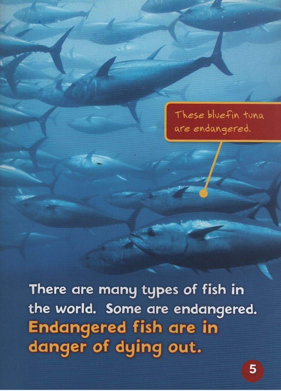 Endangered And Extinct Fish